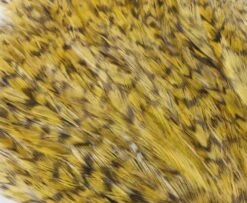 Whiting American Streamer Packs - Funky Fly Tying -Fly Fishing Supplies Store Whiting American Streamer Packs 6 1