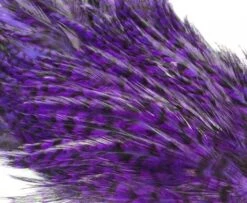 Whiting American Streamer Packs - Funky Fly Tying -Fly Fishing Supplies Store Whiting American Streamer Packs 8 1 1