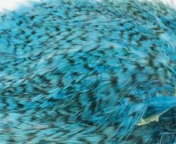 Whiting American Streamer Packs - Funky Fly Tying -Fly Fishing Supplies Store Whiting American Streamer Packs 9 1 1