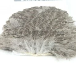 Whiting Brahma Hen Saddle - Funky Fly Tying