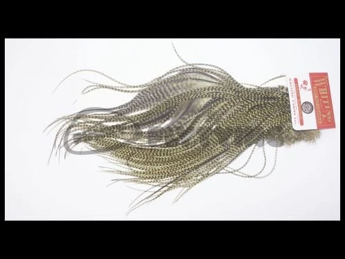 Whiting Bronze Grade 1/2 Saddle Cape - Funky Fly Tying 5 Whiting Bronze Grade 1/2 Saddle Cape - Funky Fly Tying - Image 5