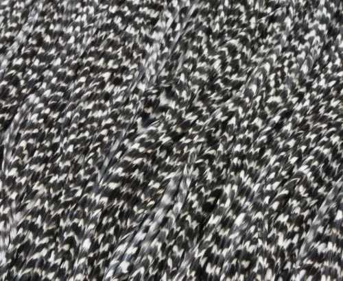 Whiting Bronze Grade Midge Saddle - Funky Fly Tying 5 Whiting Bronze Grade Midge Saddle - Funky Fly Tying - Image 5