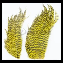 Whiting Bugger Packs - Funky Fly Tying -Fly Fishing Supplies Store Whiting Bugger Packs 14 1