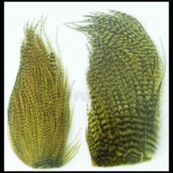 Whiting Bugger Packs - Funky Fly Tying -Fly Fishing Supplies Store Whiting Bugger Packs 8 1 1