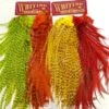 Whiting CDL Predator Pack - Funky Fly Tying