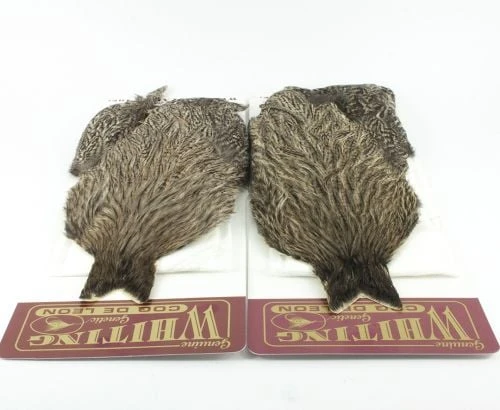 Whiting Coq De Leon Hen Cape - Funky Fly Tying 4 Whiting Coq De Leon Hen Cape - Funky Fly Tying - Image 4