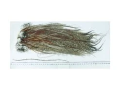 Whiting Eurohackle Saddle - Funky Fly Tying
