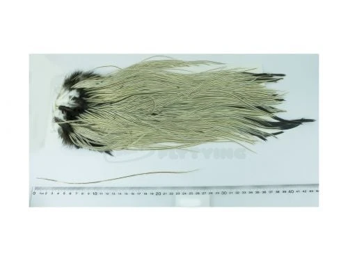 Whiting Eurohackle Saddle - Funky Fly Tying 12 Whiting Eurohackle Saddle - Funky Fly Tying - Image 12