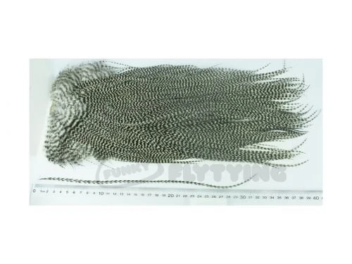 Whiting Eurohackle Saddle - Funky Fly Tying 7 Whiting Eurohackle Saddle - Funky Fly Tying - Image 7