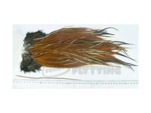 Whiting Eurohackle Saddle - Funky Fly Tying 5 Whiting Eurohackle Saddle - Funky Fly Tying - Image 5