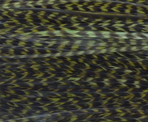 Whiting High & Dry 1/2 Saddle Cape - Funky Fly Tying 10 Whiting High & Dry 1/2 Saddle Cape - Funky Fly Tying - Image 10