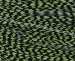 Whiting High & Dry 1/2 Saddle Cape - Funky Fly Tying 20 Whiting High & Dry 1/2 Saddle Cape - Funky Fly Tying -Fly Fishing Supplies Store Whiting High Dry 1 2 Saddle Cape 5