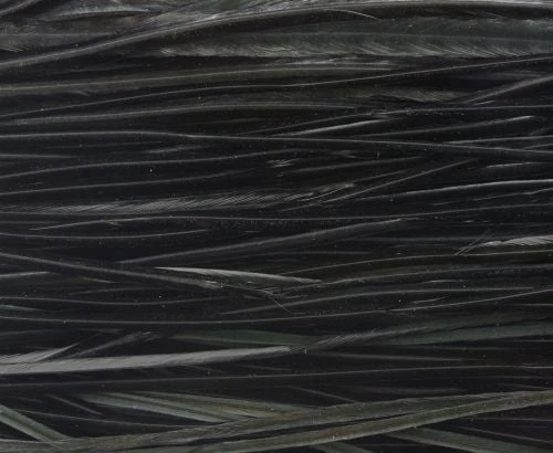 Whiting High & Dry 1/2 Saddle Cape - Funky Fly Tying 15 Whiting High & Dry 1/2 Saddle Cape - Funky Fly Tying - Image 15