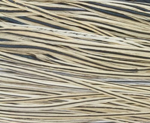 Whiting High & Dry 1/2 Saddle Cape - Funky Fly Tying 12 Whiting High & Dry 1/2 Saddle Cape - Funky Fly Tying - Image 12