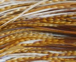 Whiting Pro Grade Midge Whole Saddle - Funky Fly Tying -Fly Fishing Supplies Store Whiting Pro Grade MIDGE Whole Saddle Cape 3 1