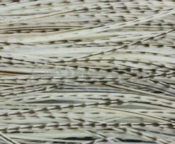 Whiting Pro Grade Midge Whole Saddle - Funky Fly Tying -Fly Fishing Supplies Store Whiting Pro Grade MIDGE Whole Saddle Cape 4