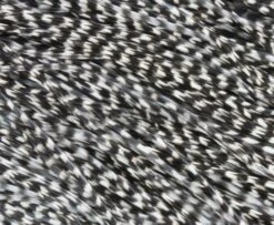 Whiting Pro Grade Midge Whole Saddle - Funky Fly Tying -Fly Fishing Supplies Store Whiting Pro Grade MIDGE Whole Saddle Cape Grizzle 1