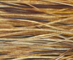 Whiting Pro Grade Midge Whole Saddle - Funky Fly Tying -Fly Fishing Supplies Store Whiting Pro Grade MIDGE Whole Saddle Cape Medium Ginger 1