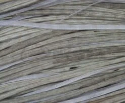 Whiting Pro Grade Saddles - Funky Fly Tying -Fly Fishing Supplies Store Whiting Pro Grade Saddles 4 1