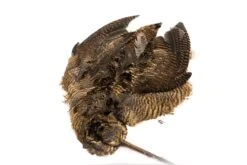 Fly Fishing Supplies Store -Fly Fishing Supplies Store Woodock scaled 2