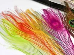 Frodin Feather Packs - Funky Fly Tying -Fly Fishing Supplies Store pc3 fix 1024x 1
