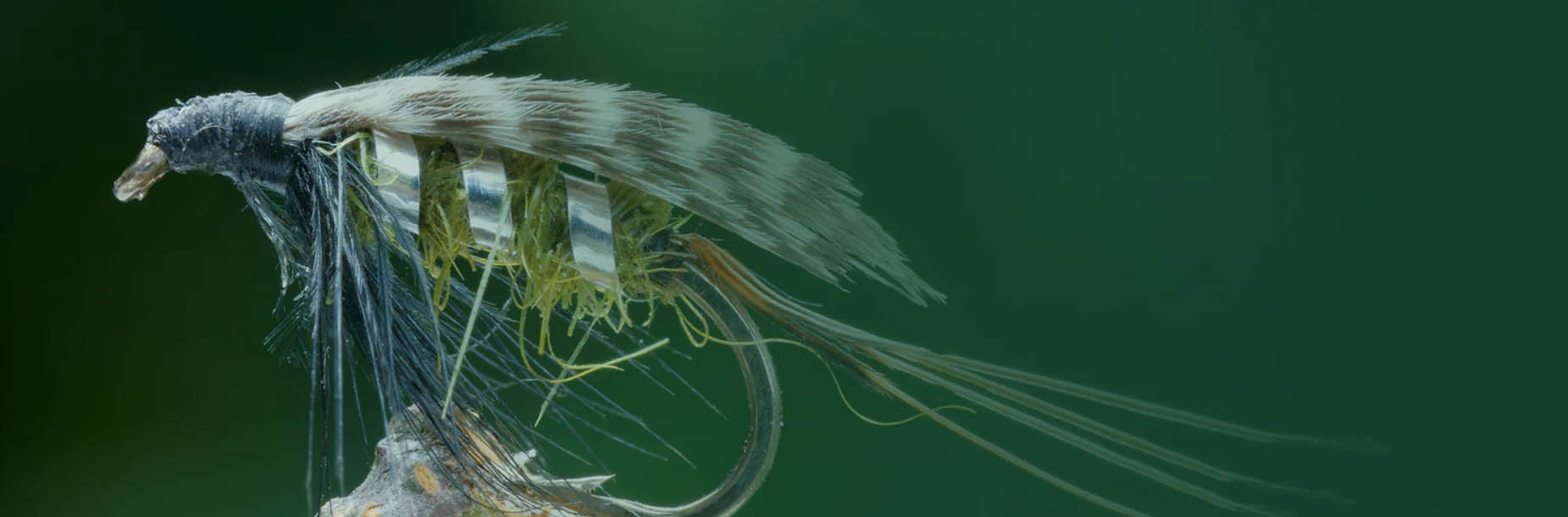 Fly Fishing Supplies Store -Fly Fishing Supplies Store dsgdg